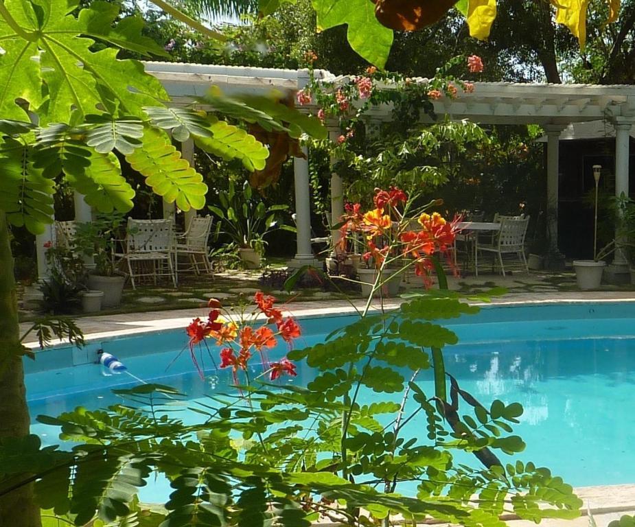 נסאו Orchard Garden Hotel מראה חיצוני תמונה